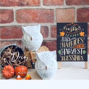 COPY - Rustic Farmhouse Owls Set For Your Tier Trays